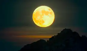 Calendario lunar de diciembre: cuándo se verá la última luna llena de 2025 y cuáles serán las fases lunares