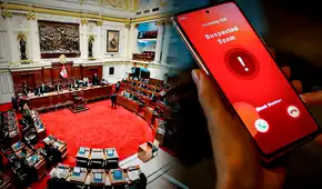 Congreso: proponen ley para que usuarios reconozcan si llamadas spam se emiten de un call center