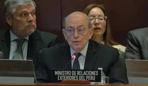 Canciller sustenta ante la OEA posición de Perú sobre asilo: "Se ha distorsionado por sesgos ideológicos"