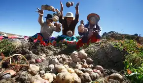 La cultura alimentaria indígena emerge como respuesta ante una inseguridad alimentaria que golpea a 17 millones de peruanos