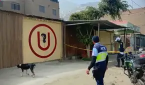 Asesinan a animador de fiestas en su vivienda en Huaycán: víctima investigaba la muerte de su hermano