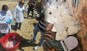 Arequipa: Policía desmantela laboratorio de PBC oculto en un predio rústico