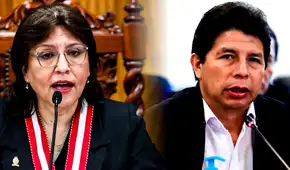 Delia Espinoza afirma que no hubo rebelión en el caso de Pedro Castillo: “Nadie se alzó en armas”