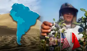 El país de América Latina que transformó su árido desierto en proveedora principal de alimentos de EE.UU., China y Europa