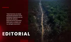 La depredación legalizada