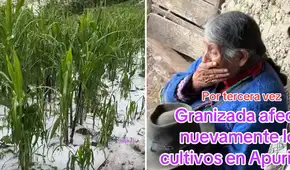 Adulta mayor rompe en llanto al ver cómo la granizada destruye su cultivo de maíz: "Así es la vida del agricultor"