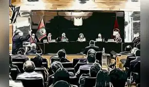 Pedro Grández: Sobre leyes “extremadamente injustas” y controles poco exigentes