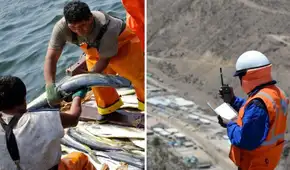 Economía peruana pierde ritmo y alcanza un 3,62% en octubre: los factores detrás del resultado, según el INEI