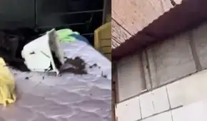 Bebé de cuatro meses es aplastado por macetero que cayó de tercer piso en San Martín de Porres