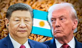 China desafía a EE.UU. y compra 65.000 toneladas de trigo argentino por primera vez en décadas mientras Milei baja aranceles