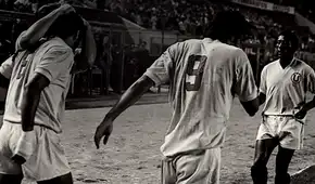 “Las mejores U en Crema y Negro”, el libro que revive las épocas más exitosas de Universitario de Deportes