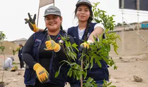 RSAUP 2025: conoce las 3 universidades que lideran en sostenibilidad ambiental