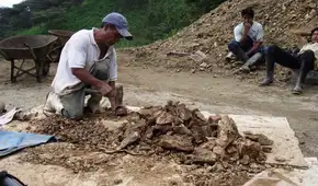 Reinfo será ampliado hasta 2026: el círculo vicioso de extensiones y los desafíos del sector minero