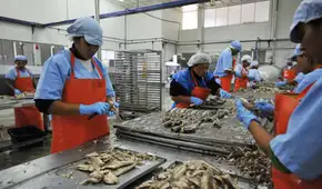 ¿Qué debería agregarse en materia laboral en la Constitución?, por Fernando Cuadros Luque