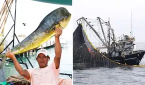 Perú sufre fuerte golpe exportador tras decisión de EE.UU. de bloquear pesca de perico por daño ambiental de redes