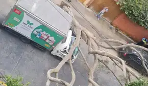 Árbol de gran tamaño aplasta cabina de camión y deja herido a chófer y copiloto en Miraflores
