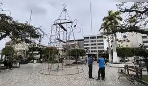 Árboles navideños y corrupción local, por Cynthia Cienfuegos