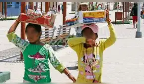 Cuando prohibir no basta: niñez, trabajo y desigualdad estructural, por Misión Educación