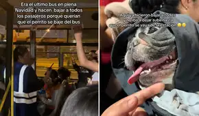 Joven aborda bus del Metropolitano con su perro e inspectora hace bajar a todos los pasajeros: "Era el último bus en plena Navidad"
