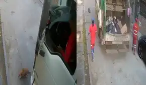 Perrito muere tras ser atropellado por camión de basura en SJL: municipalidad condenó el maltrato animal y separó a trabajadores