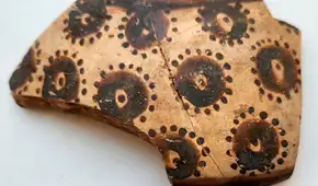 Descubren una cerámica antigua con flores que revela cómo los humanos hacían matemáticas hace 8.000 años