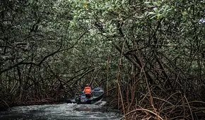 Panamá niega presencia constante del Clan del Golfo en la frontera, pero reporta "presión" de grupos colombianos