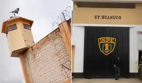 Interno condenado por violación sexual se fuga del penal de Huánuco: INPE confirma escape y PNP despliega operativo de búsqueda
