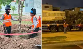 Vecinos del Callao protestan por el retiro de árboles para obras de la Vía Expresa Santa Rosa: “Los chalacos ya estamos cansados”