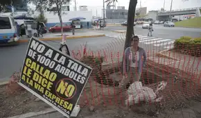 Vecinos del Callao protestan por el retiro de árboles para obras de la Vía Expresa Santa Rosa: “Los chalacos ya estamos cansados”