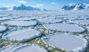 La Tierra se agrieta bajo el hielo de la Antártida con terremotos submarinos que están cambiando la vida en la superficie