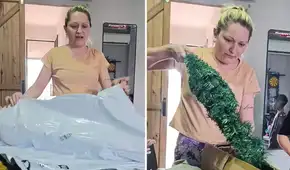 Mujer muestra el árbol navideño que compró en Temu durante noviembre y le llegó en enero: "Parece un perejil"