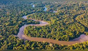 Elecciones 2026: elijamos el cuidado de la vida y la naturaleza, por cardenal Pedro Barreto Jimeno