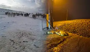 Huaicos y nevadas afectan diferentes zonas de la región Arequipa: cancelan vuelos por nebina