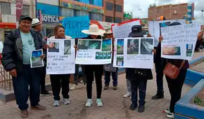 Padre de familia termina en UCI tras ser embestido por camioneta que huyó: familia clama ayuda