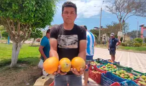 “Preferimos vender en el mercado local": agricultores denuncian precios injustos del mango en Lambayeque