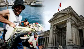 Corte Suprema: se mantiene la prohibición de la pesca industrial en áreas naturales protegidas