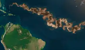 ¿Qué es la franja marrón que apareció entre América y África y por qué sería una amenaza en el océano Atlántico?