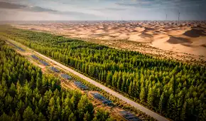 China extrae arena del desierto para crear un 'bosque' con paja y paneles solares que rieguen árboles: nueva muralla estaría lista en 2050