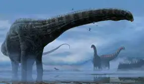 Científicos explican por qué una especie sudamericana de dinosaurio de cuello largo podía mantenerse erguida