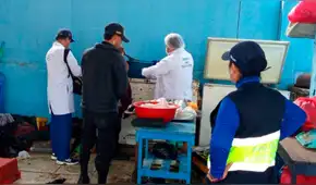 Más de 100 kg de pescado malogrado iban a ser vendidos por ambulantes del mercado Modelo en Chiclayo