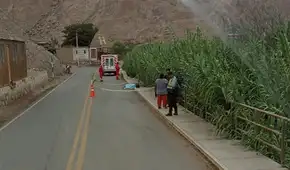 Tacna: veterinario de municipio muere en accidente de tránsito