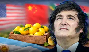 Argentina logra ser superado por este país en las mayores exportaciones de limones a potencias del mundo, como EE.UU. y China