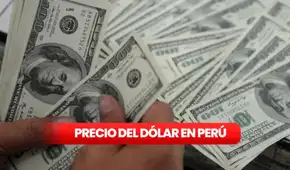 Precio del dólar hoy, domingo 25 de enero de 2026, en casas de cambios, bancos y otros canales