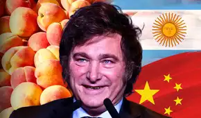 Argentina no frena su ambición con China y lo apunta como próximo destino para exportar este producto clave en Asia