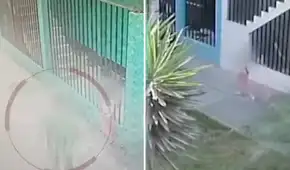 Hombre intentó raptar a niña de 5 años en Los Olivos: menor luchó por soltarse y logró escapar