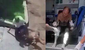 Hombre queda gravemente herido tras ser atacado por dos perros en Pachacámac cuando volvía a su casa