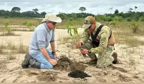 Soldados siembran 40 mil árboles en reserva de Tambopata afectada por la minería ilegal