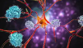 ¿Por qué el litio podría ser clave en la prevención y posible reversión del Alzheimer, según científicos de Harvard?