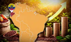 ¿Por qué Ecuador podría ser el mayor productor de cacao en el mundo en 2030, después de Costa de Marfil?
