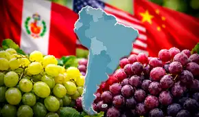 Este es el país de América Latina que supera a Perú y EE.UU. con la mayor producción de uvas en el mundo junto a China